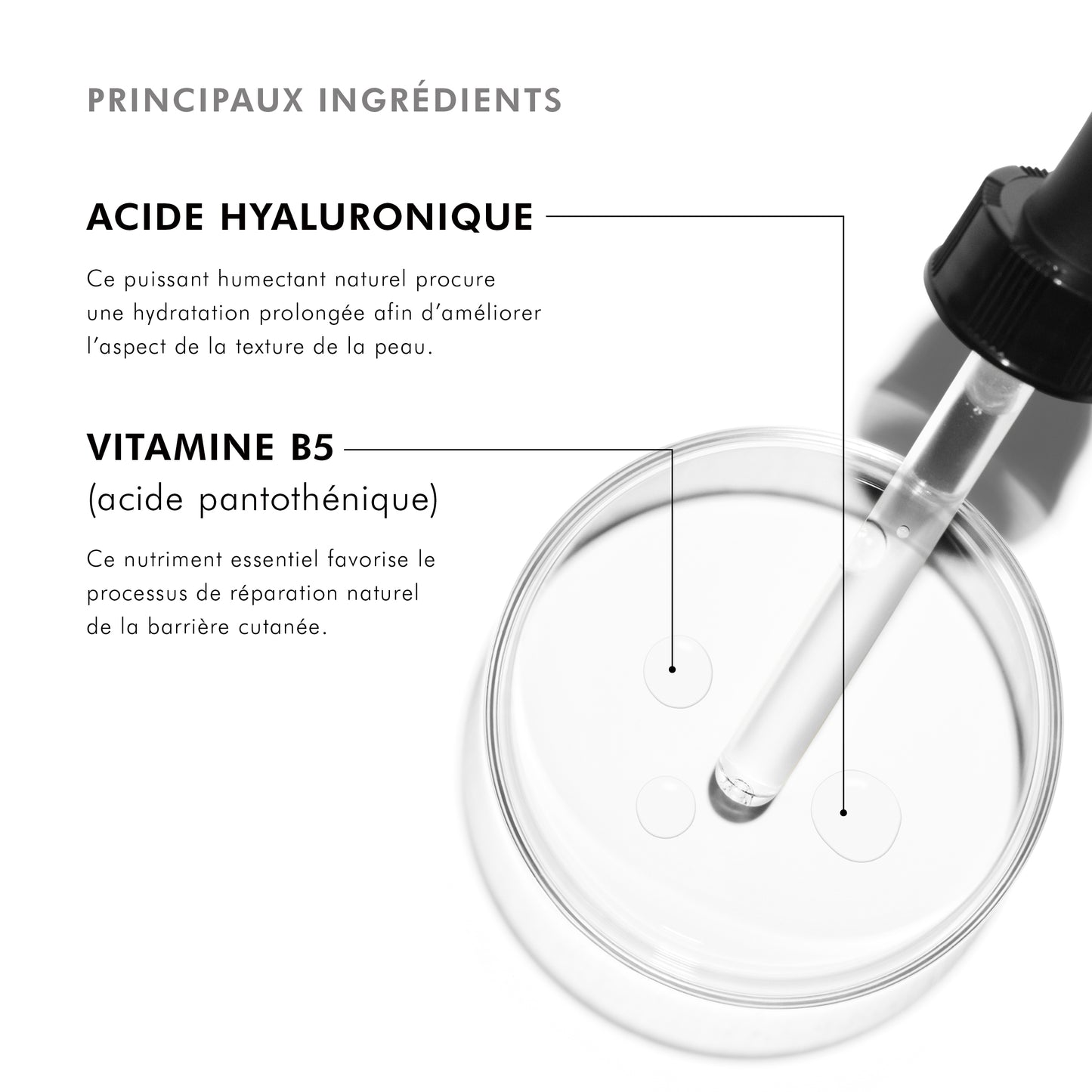Hydrating B5 Gel