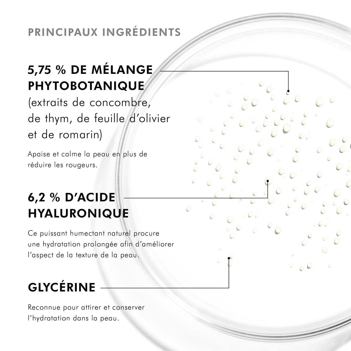 Phyto Mist