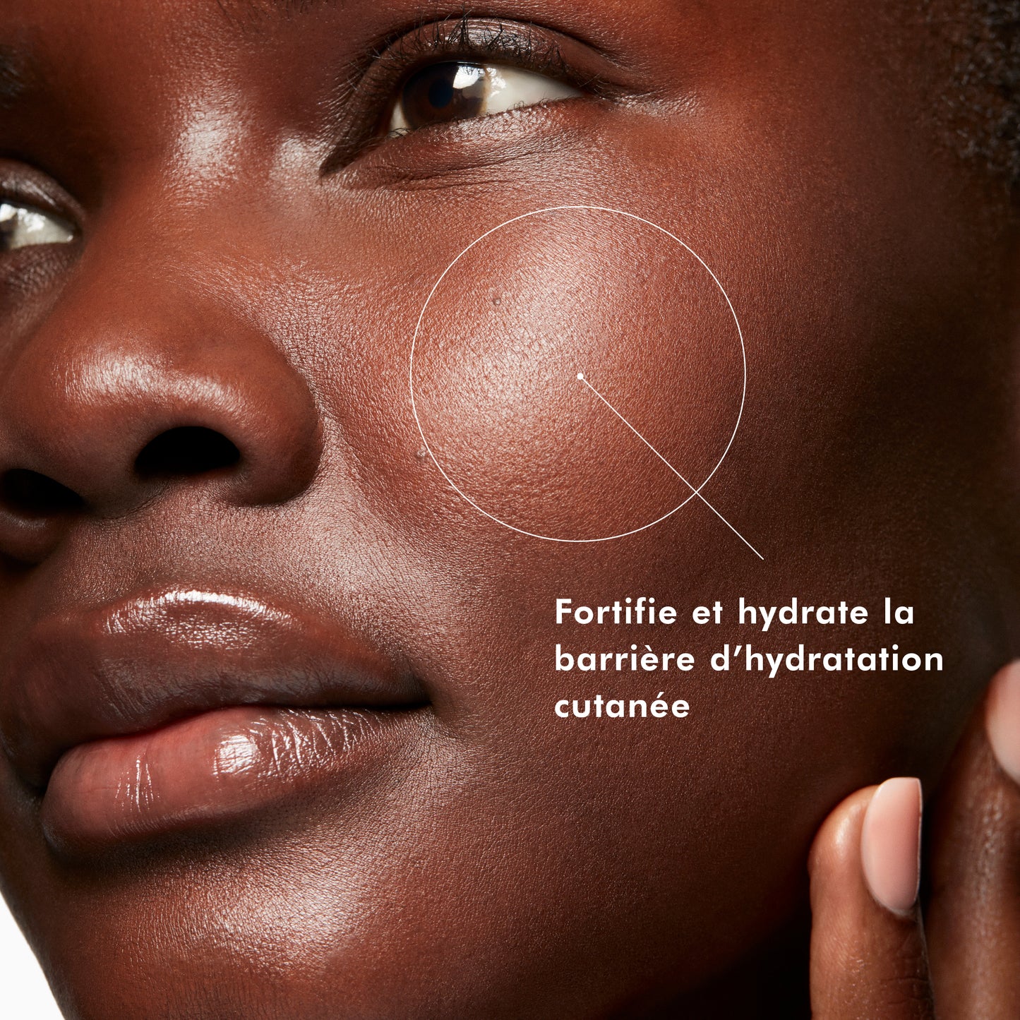 Phyto Mist